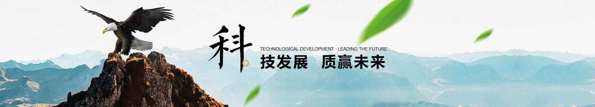 整體解決方案